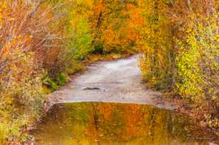 A pool in the road-9217.jpg